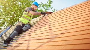 Best Rubber Roofing (EPDM, TPO)  in Sanford, FL
